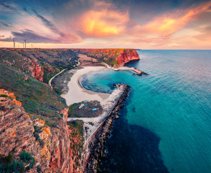 shutterstock_1971081881-733x600